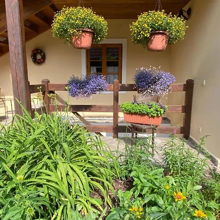 U Jezirka Apartment Nova Bystrice