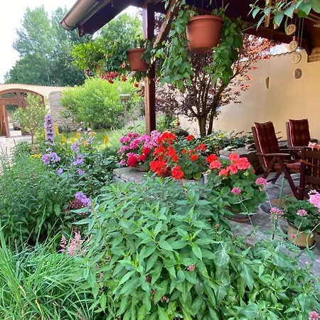 U Jezirka Apartment